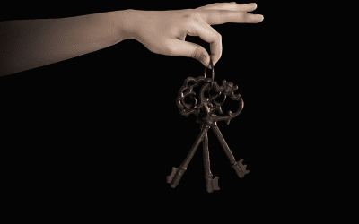 3 Keys to Success to Manage Your Social Media